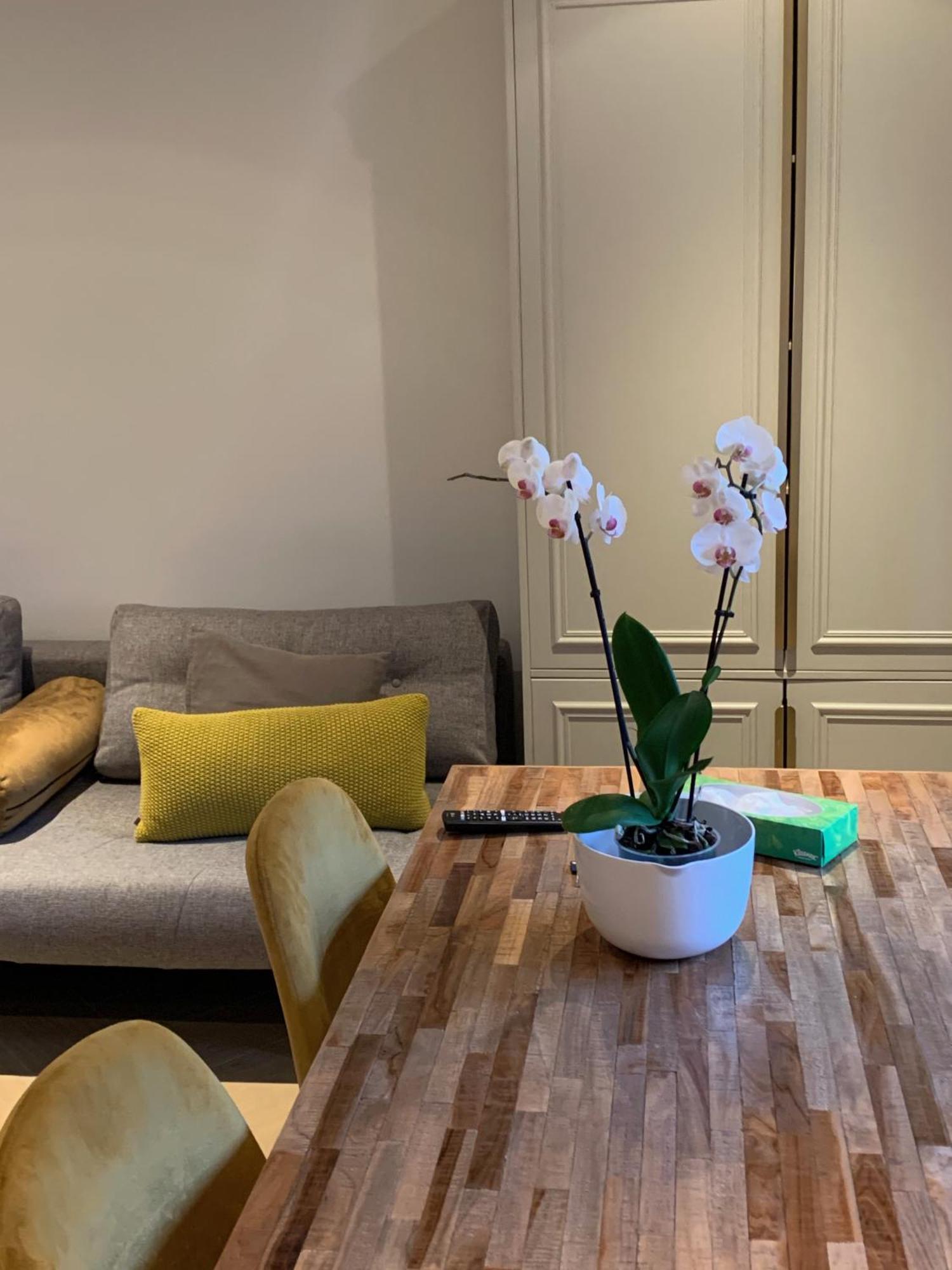 هارلم B&B Florapark المظهر الخارجي الصورة